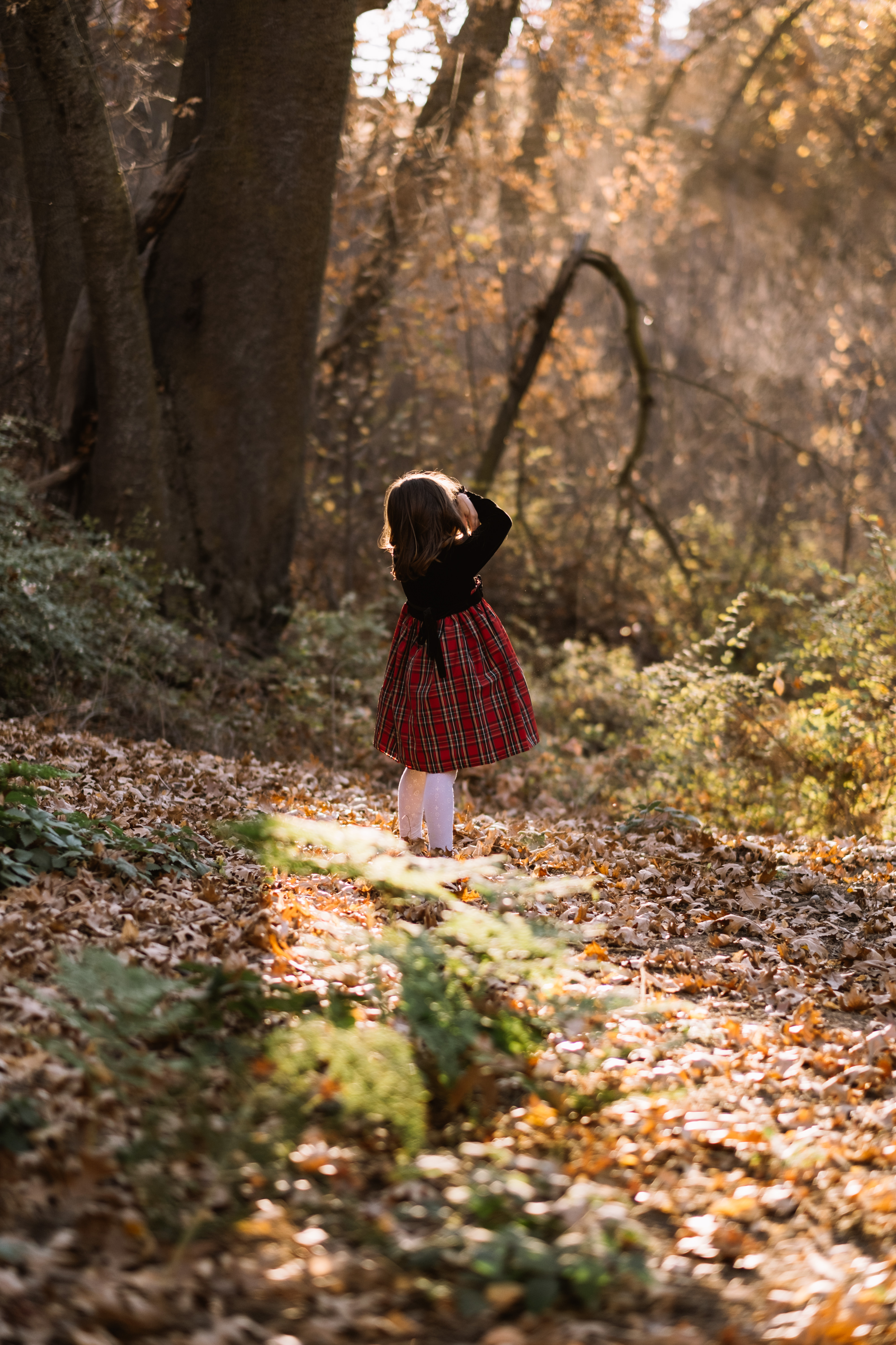 A girl in the glow of fall in a glade.